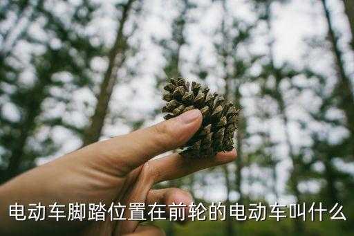 自動腳踏車神器,電動代步車控制器功能強(qiáng)大可遠(yuǎn)程啟動