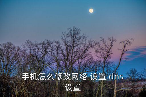  手機怎么修改網(wǎng)絡 設置 dns 設置