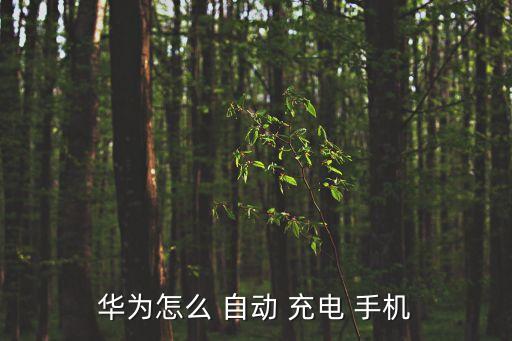 幫手機(jī)自動充電,有些機(jī)器需單獨(dú)開啟quick充電功能