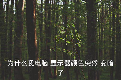 為什么我電腦 顯示器顏色突然 變暗了