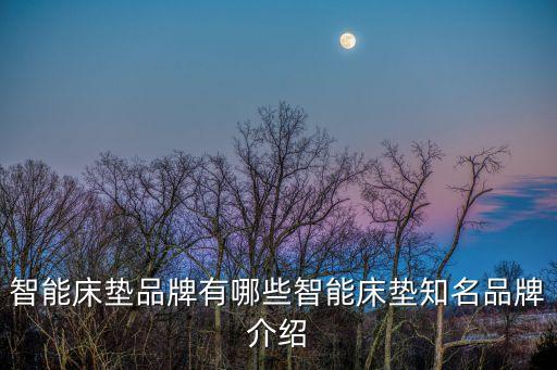 智能床墊品牌有哪些智能床墊知名品牌介紹