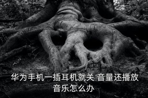 華為自動(dòng)關(guān)閉音量,如何檢測(cè)異常聲音?原來(lái)是這樣的?