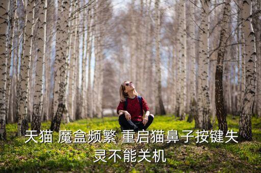 天貓魔盒 總是自動(dòng)重啟,天貓魔盒重啟怎么回事?一文看懂
