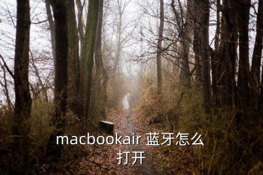 mac藍牙自動打開藍牙,點擊藍牙選項進入藍牙設置頁面