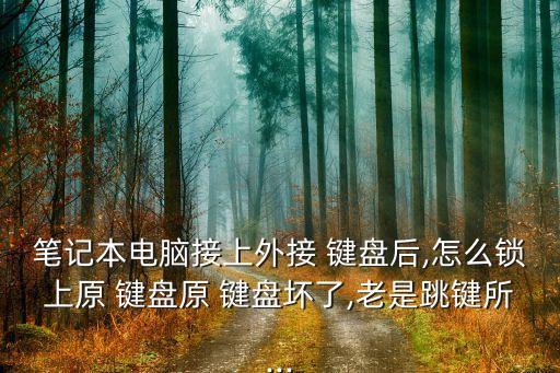 筆記本電腦接上外接 鍵盤后,怎么鎖上原 鍵盤原 鍵盤壞了,老是跳鍵所...