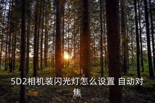 5d2拍視頻 自動(dòng)對(duì)焦,5d2四種對(duì)焦方式供你選擇