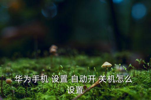 華為手機(jī) 設(shè)置 自動(dòng)開 關(guān)機(jī)怎么 設(shè)置