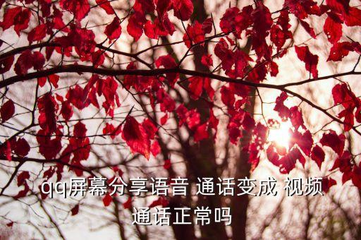 qq自動接受視頻通話,觸摸攝像頭使語音通話變視頻通話