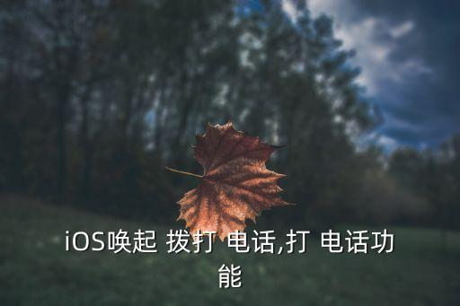 iOS喚起 撥打 電話,打 電話功能