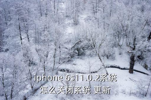 iphone 6s11.0.2系統(tǒng)怎么關閉系統(tǒng) 更新