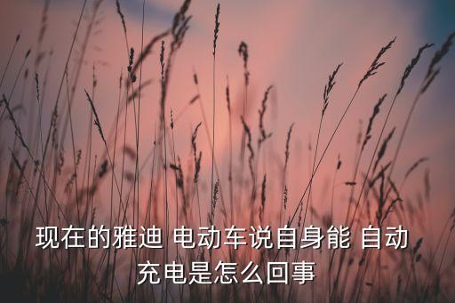 現(xiàn)在的雅迪 電動車說自身能 自動 充電是怎么回事