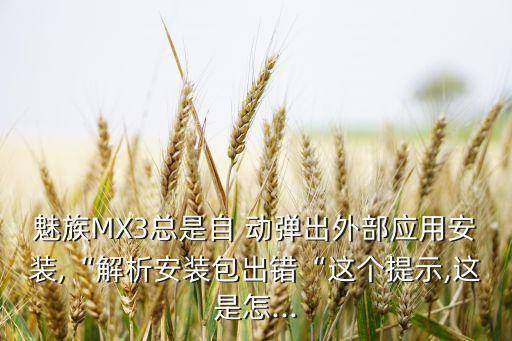 魅族MX3總是自 動彈出外部應(yīng)用安裝,“解析安裝包出錯“這個提示,這是怎...