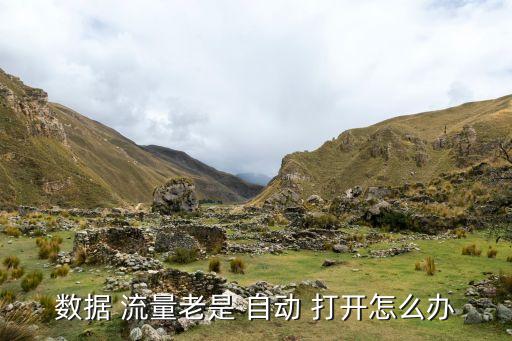 樂2自動打開流量,手機自動打開流量一般來源于三個原因