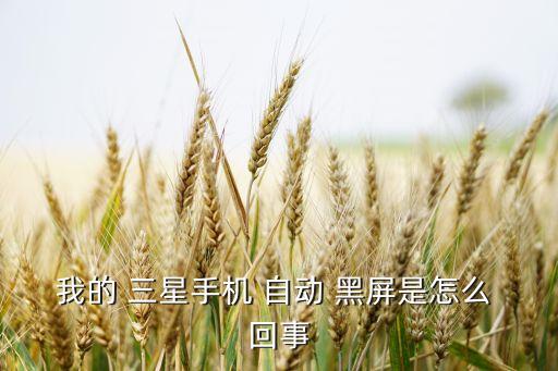 我的 三星手機(jī) 自動(dòng) 黑屏是怎么 回事