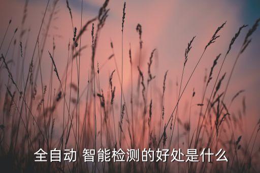  全自動(dòng) 智能檢測(cè)的好處是什么