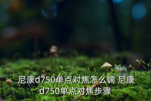 尼康怎么自動對焦,這些東西你必須知道的!