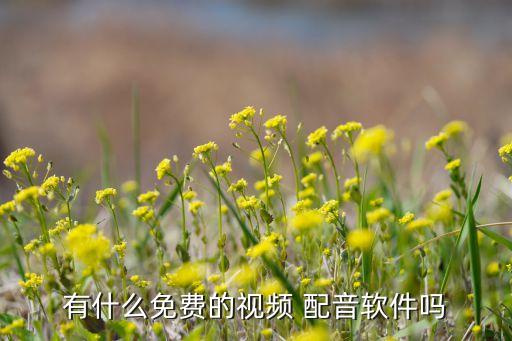 有什么免費的視頻 配音軟件嗎