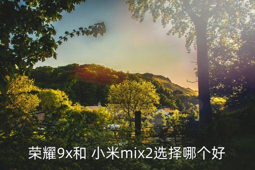 小米max2自動(dòng)對(duì)焦,超酷攝像頭和超萌手機(jī)游戲