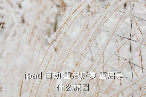  ipad 自動(dòng) 重啟反復(fù) 重啟是什么原因
