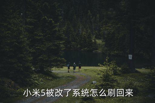 小米5禁止自動升級,重啟手機自動進入小米model安裝圖