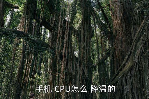  手機 CPU怎么 降溫的