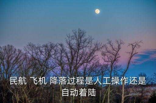 飛機(jī)能自動(dòng)降落嗎,雨天飛機(jī)能否降落取決于下列幾個(gè)方面