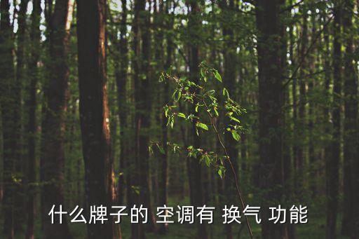 什么牌子的 空調有 換氣 功能
