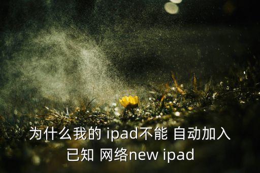 為什么我的 ipad不能 自動加入已知 網絡new ipad