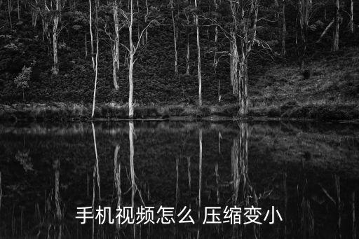 微演示有自動(dòng)壓縮么,視頻壓縮怎么做?