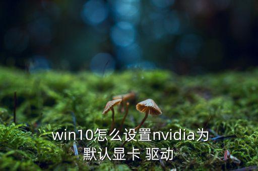  win10怎么設(shè)置nvidia為默認(rèn)顯卡 驅(qū)動(dòng)