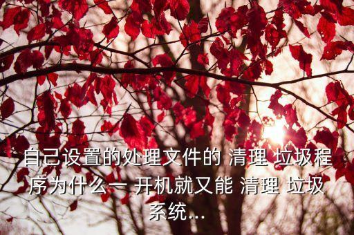 自己設(shè)置的處理文件的 清理 垃圾程序?yàn)槭裁匆?開(kāi)機(jī)就又能 清理 垃圾系統(tǒng)...
