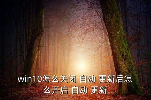 win10怎么關(guān)閉 自動 更新后怎么開啟 自動 更新