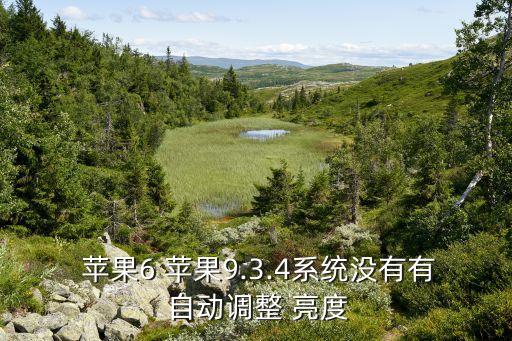 蘋果6自動調(diào)節(jié)亮度在哪里,武漢出現(xiàn)第一起確診病例