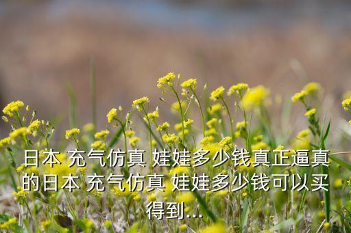日本 充氣仿真 娃娃多少錢真正逼真的日本 充氣仿真 娃娃多少錢可以買得到...