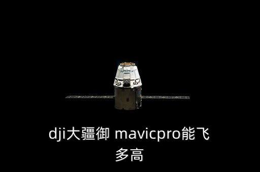 mavic 自動返航高度,這些飛機(jī)怎么飛?