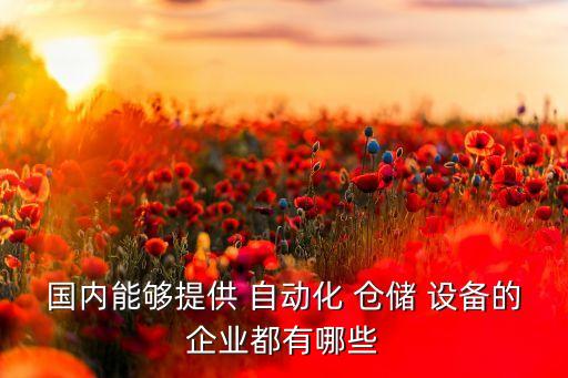 國內(nèi)能夠提供 自動(dòng)化 倉儲(chǔ) 設(shè)備的企業(yè)都有哪些