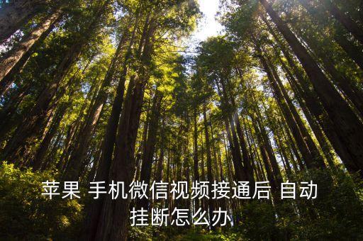  蘋果 手機(jī)微信視頻接通后 自動(dòng) 掛斷怎么辦