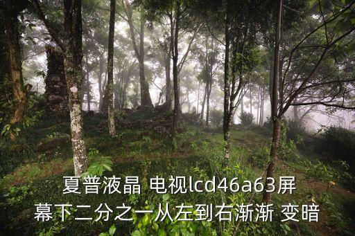  夏普液晶 電視lcd46a63屏幕下二分之一從左到右漸漸 變暗
