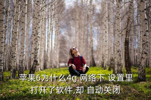 蘋(píng)果6手機(jī)自動(dòng)網(wǎng)絡(luò)設(shè)置,怎么用手機(jī)連接最快的4g網(wǎng)絡(luò)?