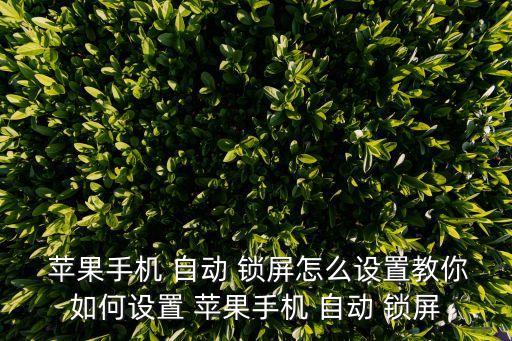 蘋果沒有自動鎖屏,設(shè)置手機(jī)自動鎖定功能需要注意什么?