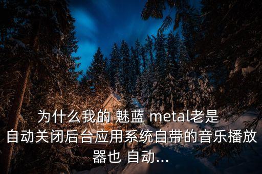 魅藍metal老是自動關機,魅族手機制造商的職業(yè)道德