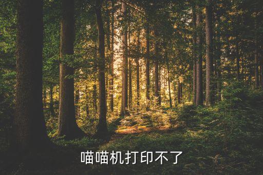喵喵機打印不了