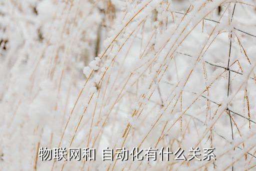 物聯(lián)網(wǎng)和 自動化有什么關(guān)系