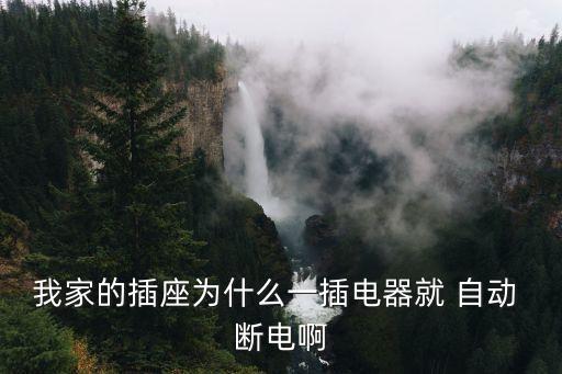 我家的插座為什么一插電器就 自動 斷電啊