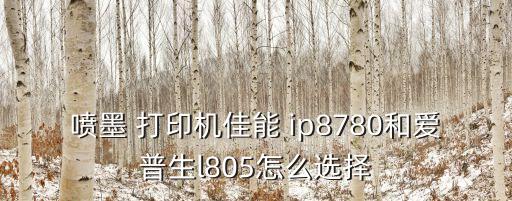 ip8780 自動打印,小打印機首選愛普生價格7000億元
