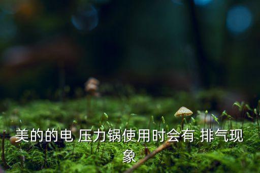 美的電壓力鍋自動排氣,電壓力鍋怎么用?
