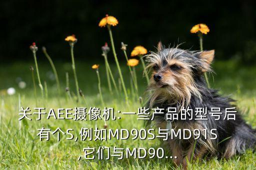 關(guān)于AEE攝像機(jī):一些產(chǎn)品的型號后有個S,例如MD90S與MD91S,它們與MD90...