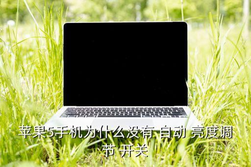 蘋果5手機為什么沒有 自動 亮度調節(jié) 開關