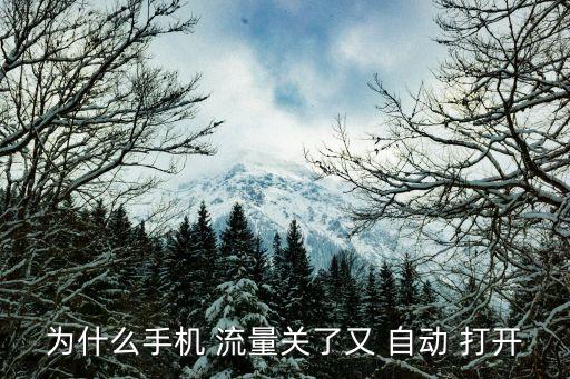 為什么手機(jī) 流量關(guān)了又 自動(dòng) 打開