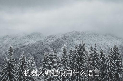  機器人編程使用什么語言